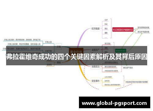 弗拉霍维奇成功的四个关键因素解析及其背后原因 弗拉霍维奇成功的四个关键因素解析及其背后原因