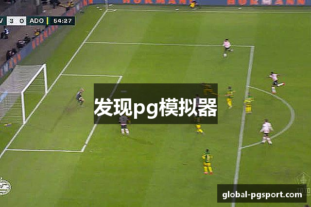 发现pg模拟器